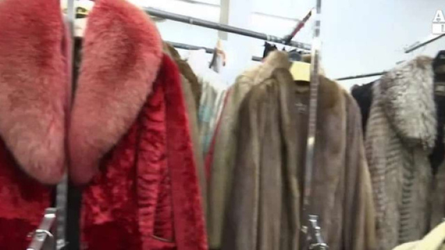 San Francisco vieta la vendita di pellicce dal 2019