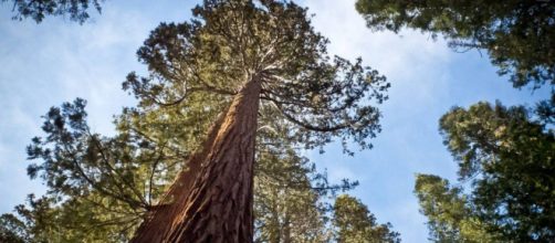 Las ciudades m&aacute;s frondosas del mundo