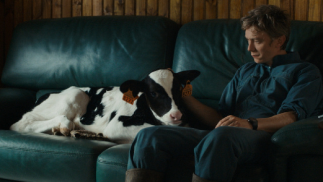 Petit Paysan, tutto sul regista Hubert Charuel