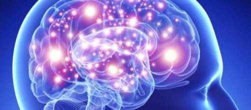 Consejos neurocient&iacute;ficos para mantener joven el cerebro.