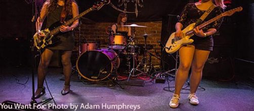 You Want Fox: byAdam Humphreys