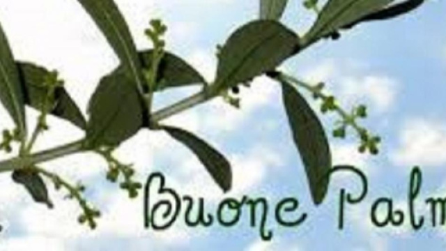 Auguri Domenica delle Palme: frasi da inviare