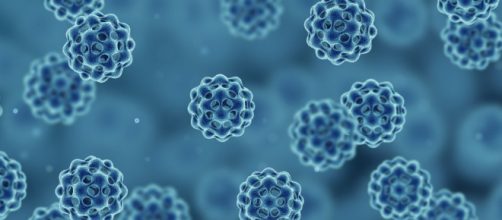 Estudios muestran c&oacute;mo los virus son destruidos por otro virus y c&oacute;mo entra en otra etapa de la evoluci&oacute;n