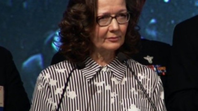 Gina Haspel, il nuovo capo della Cia che fa discutere gli Usa (e ... - formiche.net
