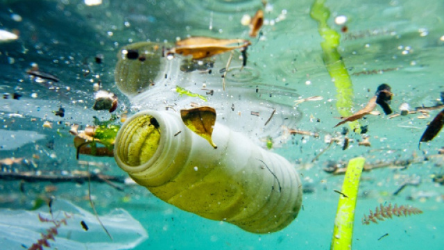 Inquinamento: isola di plastica nell'oceano Pacifico