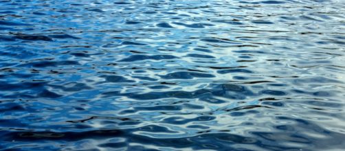 &iquest;A d&oacute;nde va todo el agua? y la necesidad de conservaci&oacute;n