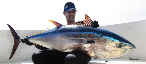 Las mejores ca&ntilde;as para pescar atunes a Spinning | el pez rosa - elpezrosa.com