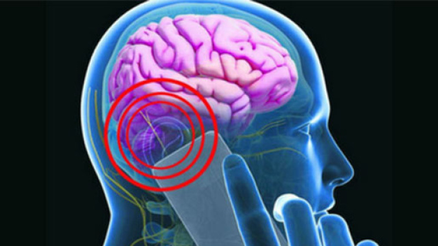 I cellulari possono far insorgere malattie tumorali: i risultati di recenti studi