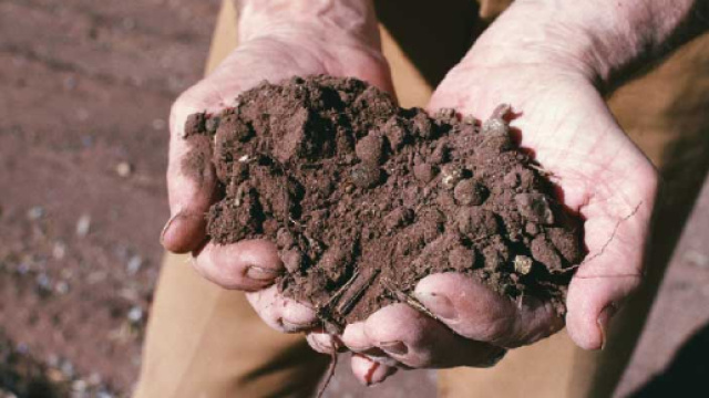 Terra avvelenata: &egrave; allarme, ritrovati alti valori di arsenico