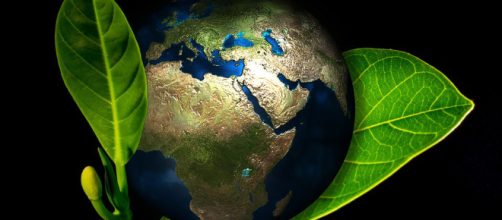 quenadasepierda hashtag on Twitter - twitter.com