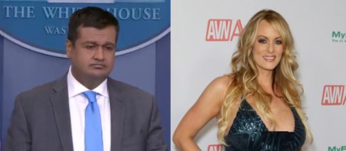 Raj Shah, Stormy Daniels, via Twitter