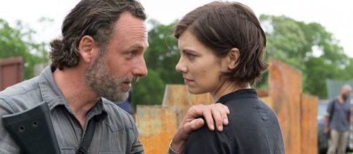The Walking Dead es una serie creada y producida por Robert Kirkman y Frank Darabont, basada en el c&oacute;mic hom&oacute;nimo de Robert Kirkman