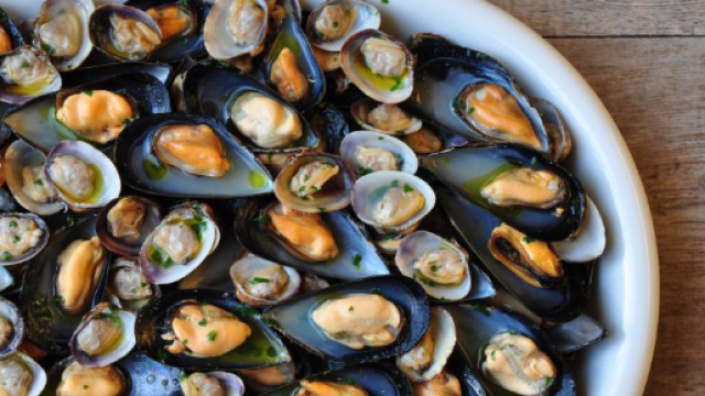 Cozze contaminate l'allarme del Ministero della Salute - lospicchiodaglio.it