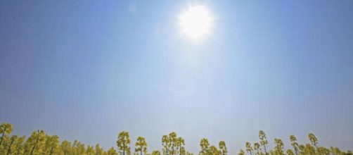 ANTENA 3 TV | Cient&iacute;ficos estadounidenses crean una hoja bi&oacute;nica ... - antena3.com