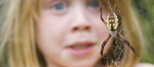 fobias m&aacute;s comunes irracionales