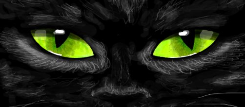 Gatos pretos sempre foram muito pol&ecirc;micos, desde as eras antigas