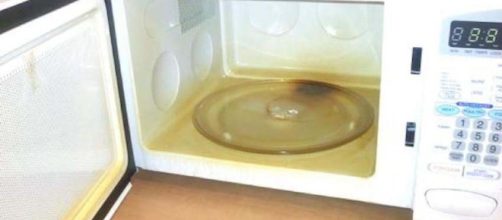 La mayor&iacute;a de los hogares tienen un horno de microondas, pero a veces las personas ponen cosas que no deber&iacute;an estar all&iacute;