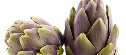Pru&eacute;bala! Descubre los beneficios de la alcachofa de la&oacute;n para ... - i24web.com