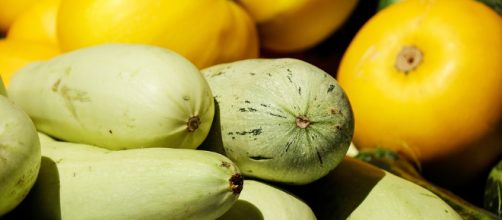 Wasabi: el anticancer&iacute;geno natural