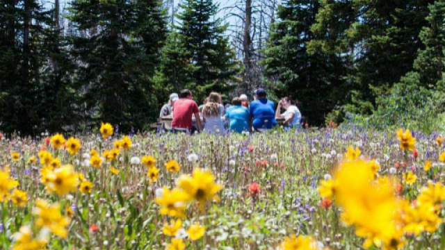 Oroscopo di domani 2 aprile 2018: pasquetta fortunata? Ecco i segni che festeggeranno il luned&igrave; d'inizio settimana in allegria