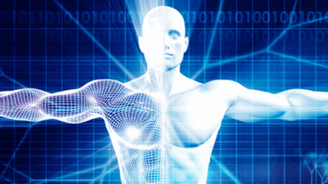 Scoperto un nuovo organo del corpo umano: di cosa si tratta