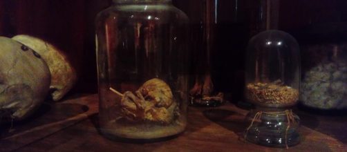 Armario del Museo Antropol&oacute;gico de Madrid donde se encuentra el extra&ntilde;o ser.