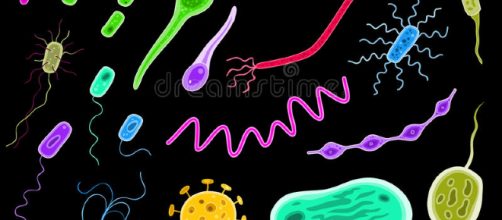 Bacterias y virus ilustraci&oacute;n del vector. Ilustraci&oacute;n de bacterias ... - dreamstime.com