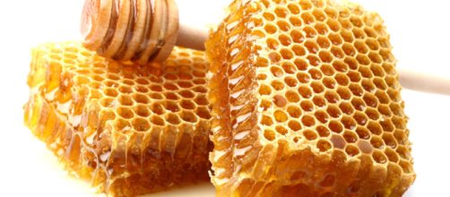 La miel. Propiedades, composici&oacute;n, origen, historia... - balansiya.com