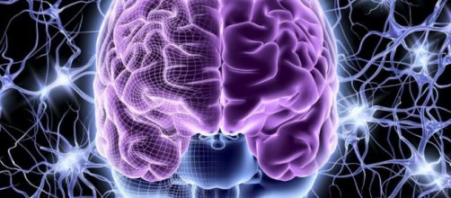 o mito: &iquest;S&oacute;lo usamos el 10% de nuestro cerebro? - lavanguardia.com