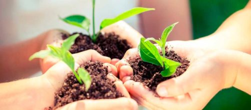 a mejorar el medio ambiente &iexcl;desde tu casa! - thehappening.com