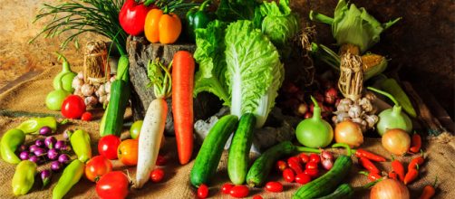 Dietas Para Adelgazar: Guia Definitiva Con Recetas y Tips! - tipsnutritivos.com