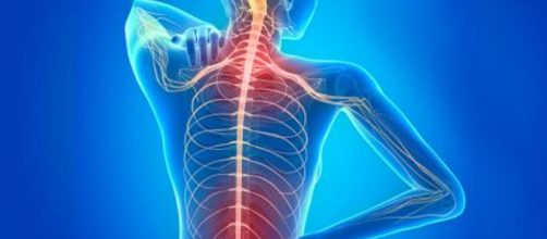 Todo sobre la esclerosis m&uacute;ltiple, la enfermedad degenerativa del ... - cronicanorte.es