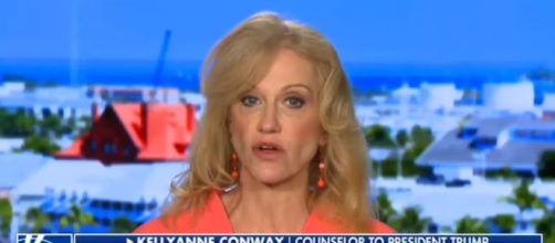 Kellyanne Conway on Fox News, via YouTube