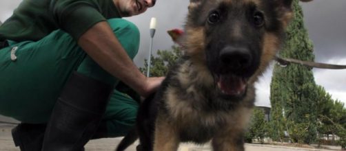 Todas las multas de la Comunidad de Madrid por maltratar a una ... - elmundo.es