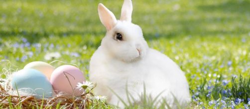A origem dos s&iacute;mbolos da P&aacute;scoa