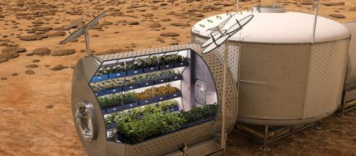 NASA plans to grow food on future spacecraft and on other planets (Image credit - NASA, Wikimedia Commons)