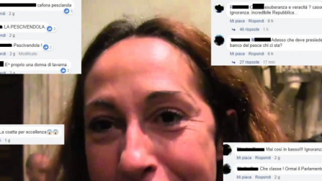 Il web si scatena su Paola Taverna