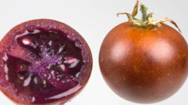 Contro le infiammazioni croniche intestinali c'&egrave; il pomodoro bronzeo