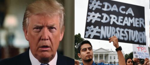 Donald Trump, DACA, via Twitter