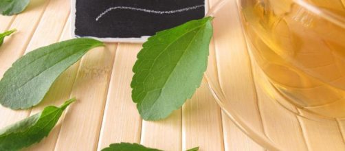 por qu&eacute; es el edulcorante de moda? - clarin.com