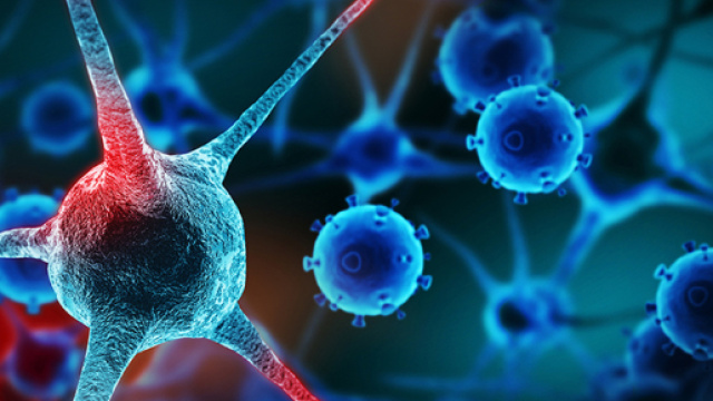 Tumori: ecco la proteina che favorisce la crescita