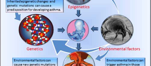 Info graphic showing the causes of Asthma [Image via Flow/YouTube Screengrab]