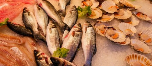 The US is in need of more sustainable aquaculture practices (Photocredit - Public Domain - Pixabay)