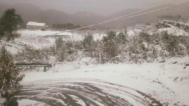 Burian torner&agrave; a colpire l'Italia dal 20 Marzo