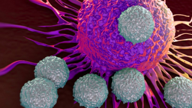 Ricercatori salentini scoprono proteina &laquo;tallone d'Achille&raquo; del ... - lagazzettadelmezzogiorno.it