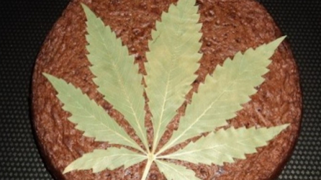 Thiais-Un space cake(g&acirc;teau zamal) envoie toute une famille &agrave; l ... - freedom.fr