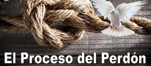 Membres&iacute;a a Vidas Sanas - VidasSanas.Co - vidassanas.co