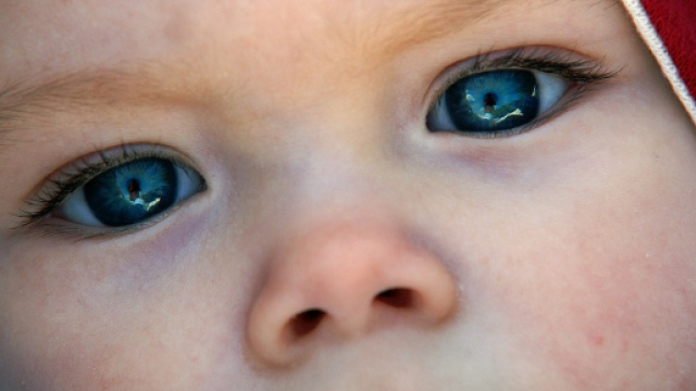 Avr&agrave; gli occhi azzurri, marroni o verdi? Tutto sui bambini