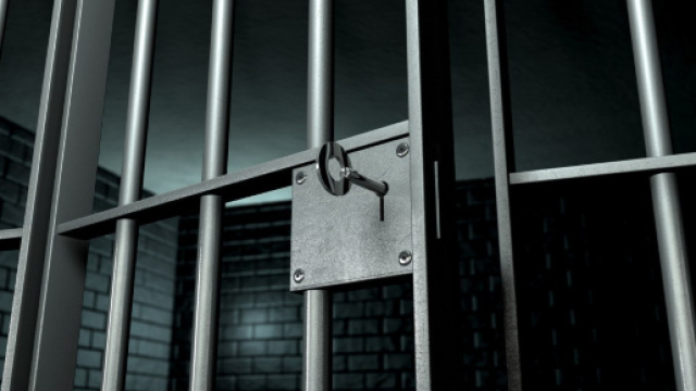 Bozovic &egrave; rimasto in carcere per 17 mesi, tra il 2012 e il 2013