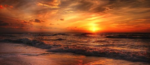 Were you born to lead a practical Life? [Image by Pixabay / kordi_vahle]